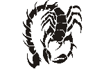 Scorpion Tribal